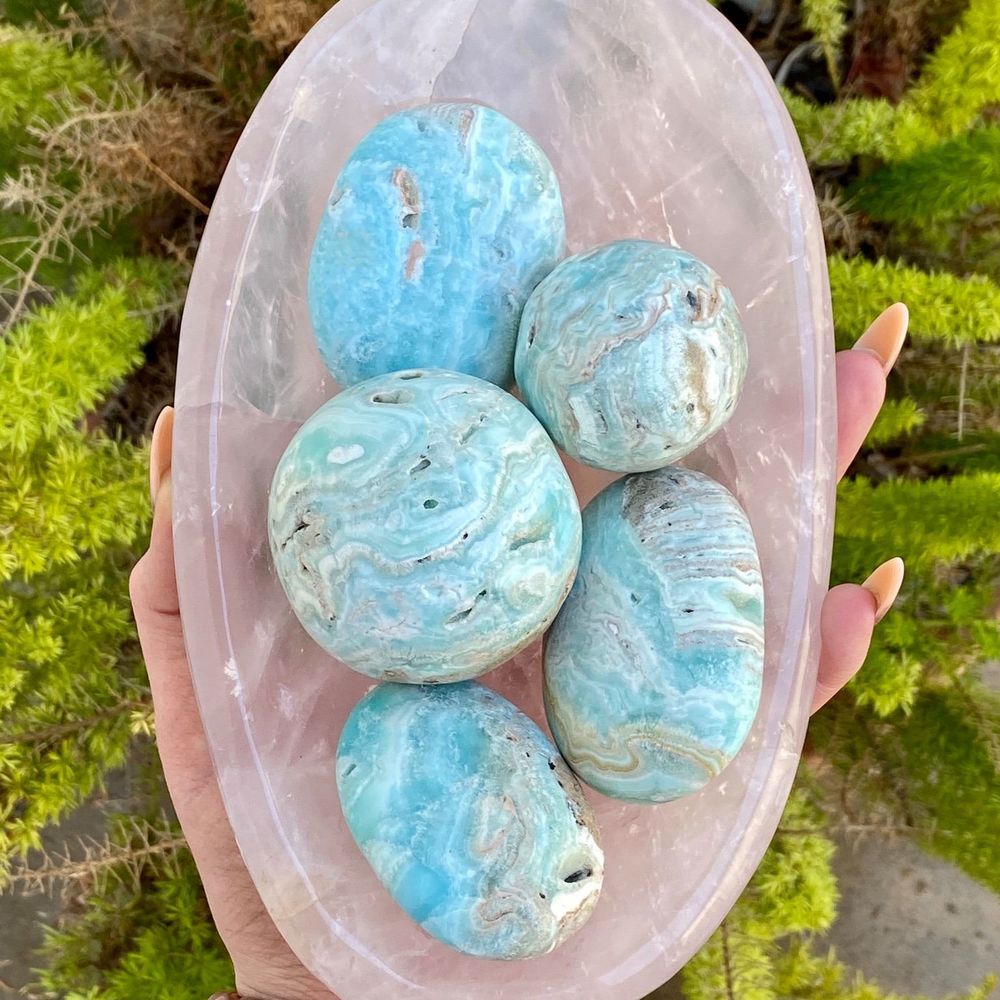 Meet your Posher, Gardenofeden